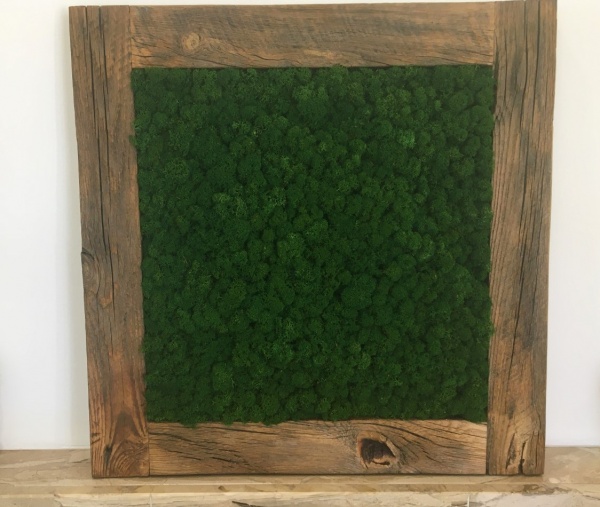 Painting - Wall Art made of dark green reindeer moss in a 54x54 cm old wood frame